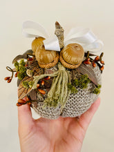 Load image into Gallery viewer, Pumpkins!