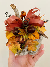 Load image into Gallery viewer, Pumpkins!