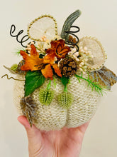 Load image into Gallery viewer, Pumpkins!