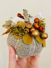 Load image into Gallery viewer, Pumpkins!