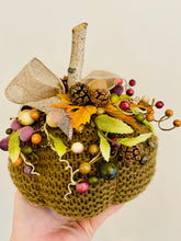 Load image into Gallery viewer, Pumpkins!