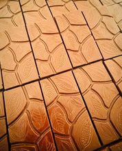 Load image into Gallery viewer, Foster Cocolates
