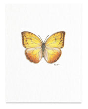 Load image into Gallery viewer, Butterfly Art Prints

